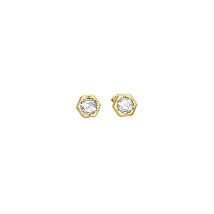 Boucles d'Oreilles Puces zircone hexagonal